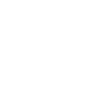 Dollar Icon