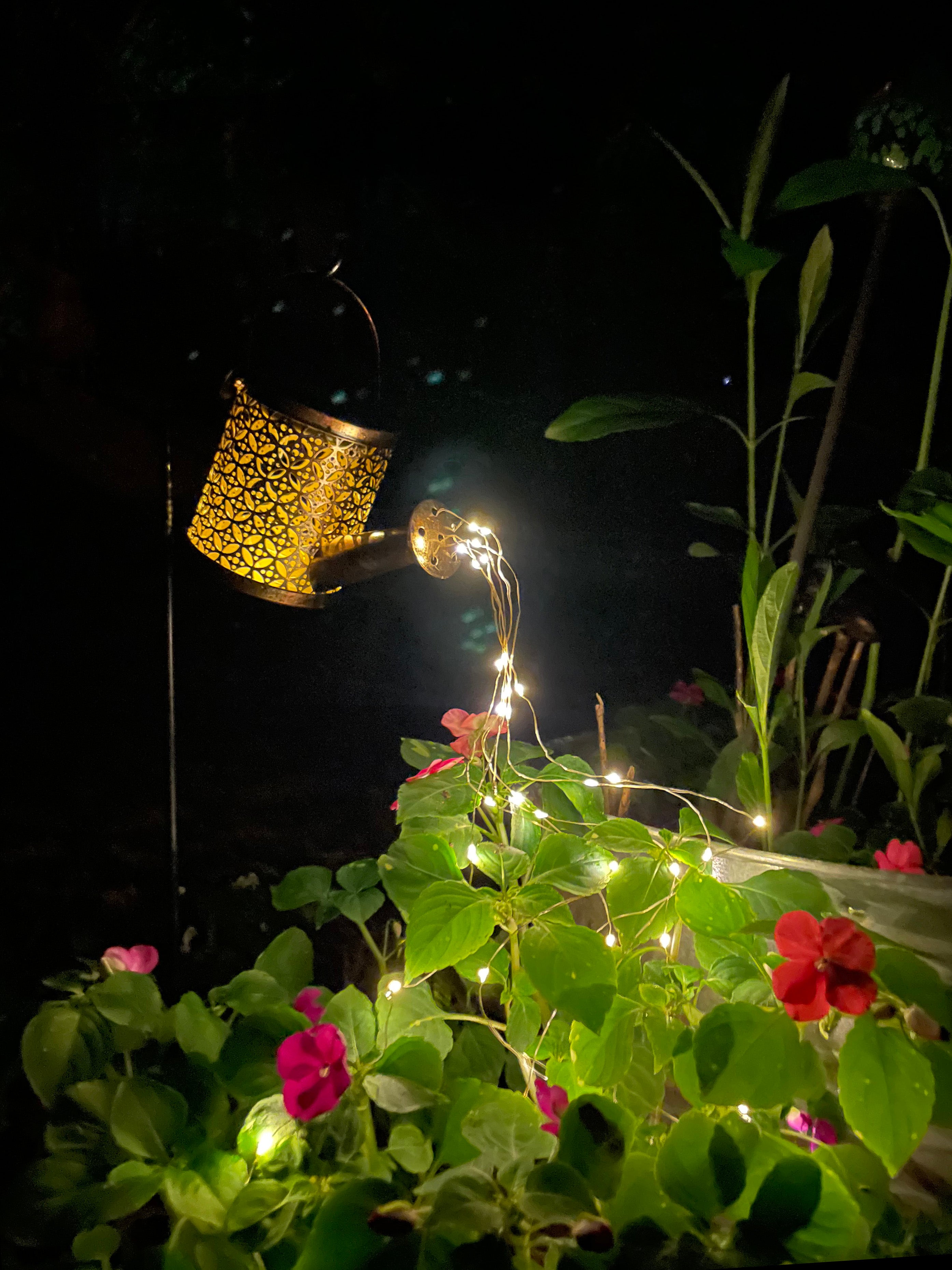 solar watering can lights