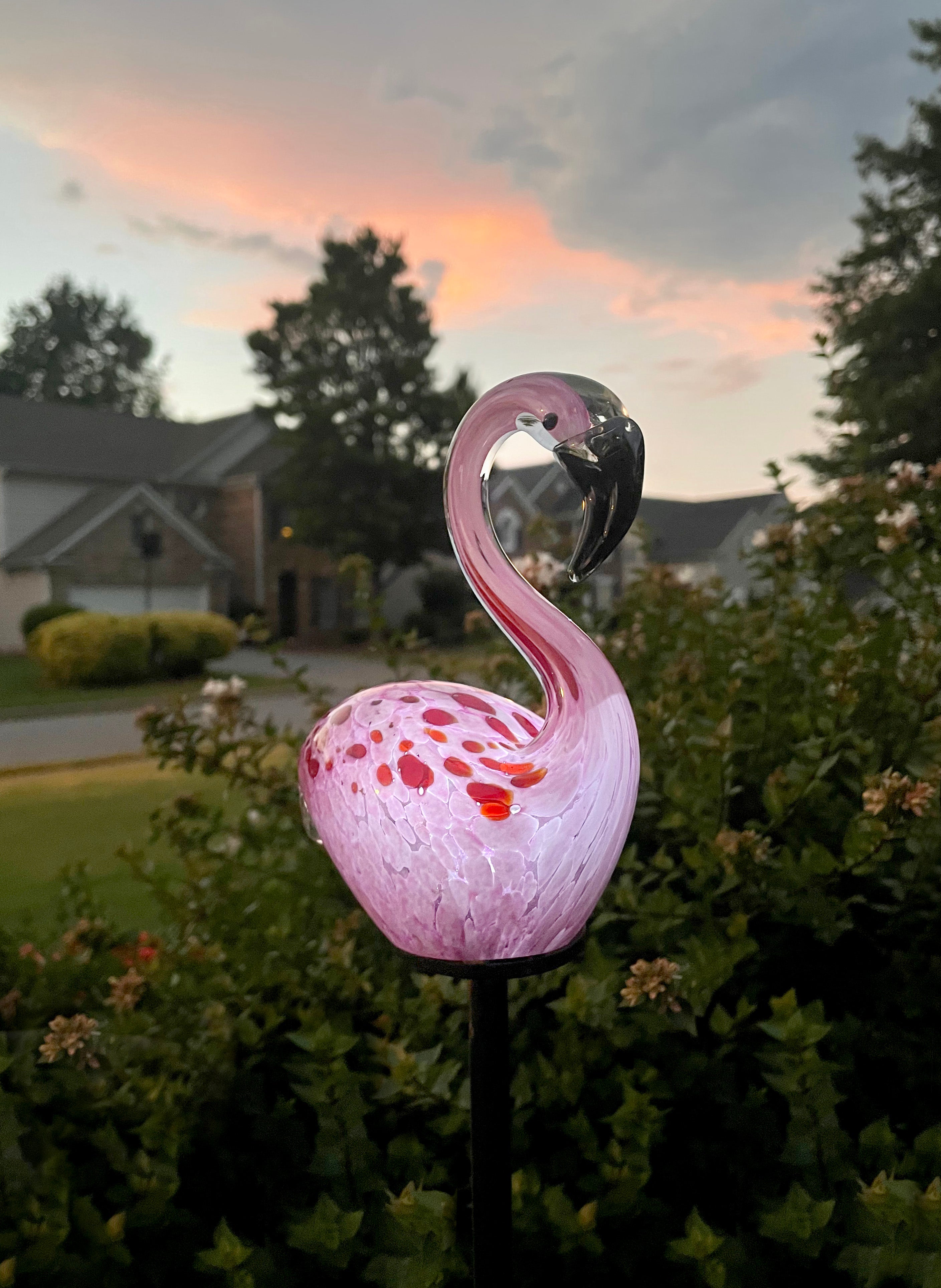 Solar Flamingo