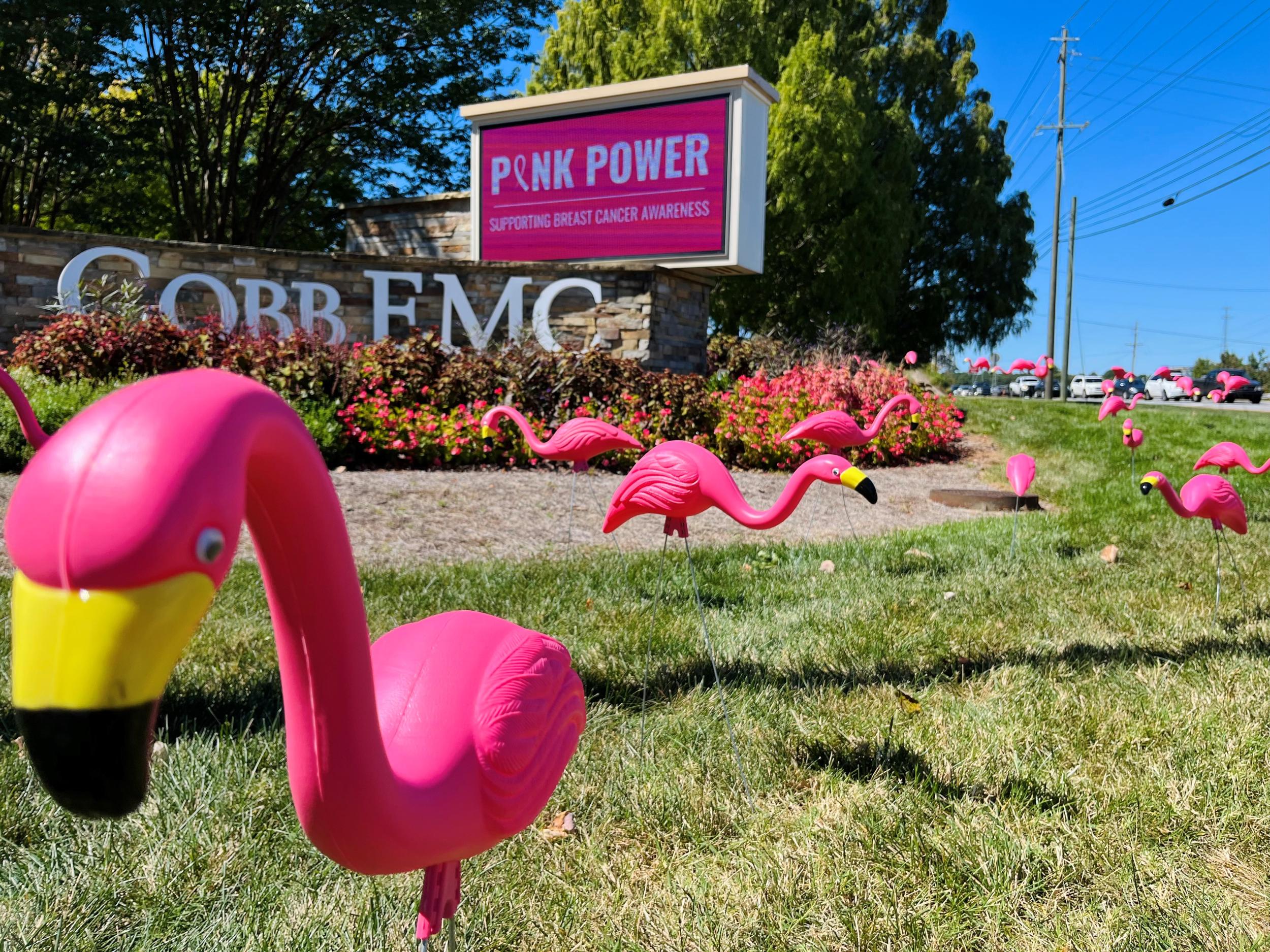 The #PinkPowerFlock in front of Cobb EMC’s corporate campus in Marietta, GA.
