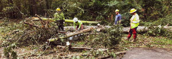 Tropical Storm Zeta Causes Historical Damage