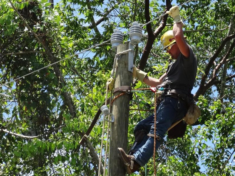 Lineman on a pole