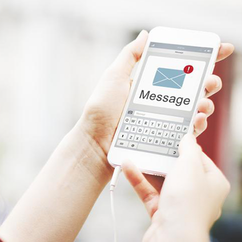 woman holding cell phone in hands