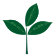 Icon of tree brand with leaves